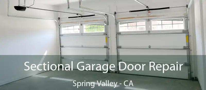  Sectional Garage Door Repair Spring Valley - CA