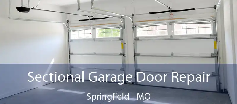  Sectional Garage Door Repair Springfield - MO