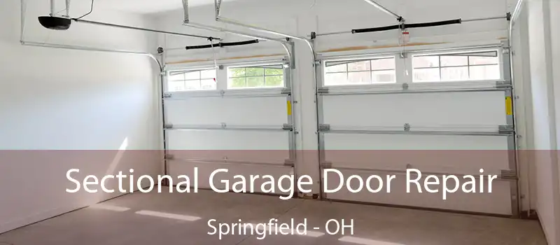 Sectional Garage Door Repair Springfield - OH