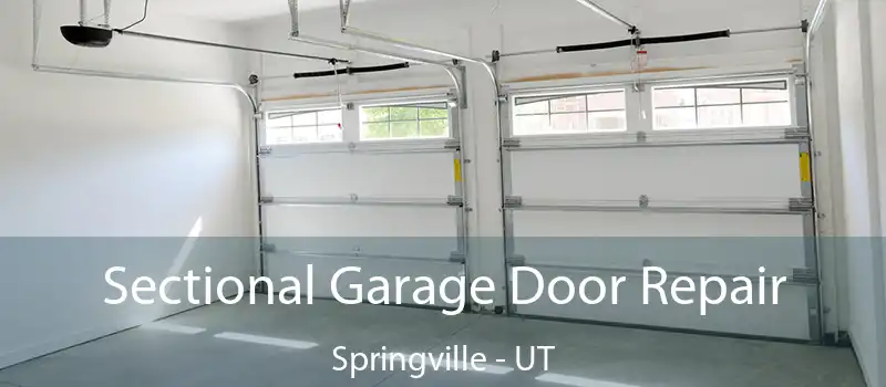  Sectional Garage Door Repair Springville - UT