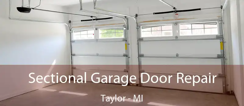  Sectional Garage Door Repair Taylor - MI