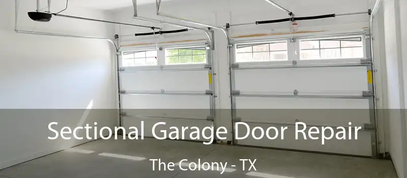  Sectional Garage Door Repair The Colony - TX