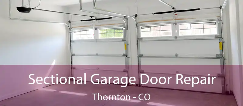 Sectional Garage Door Repair Thornton - CO