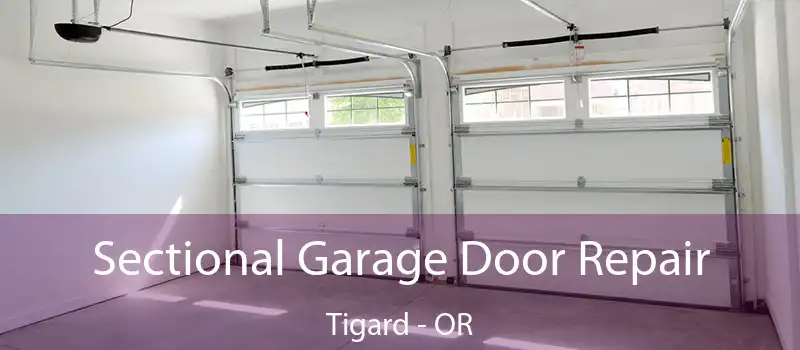 Sectional Garage Door Repair Tigard - OR