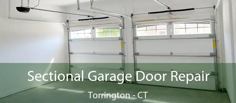  Sectional Garage Door Repair Torrington - CT
