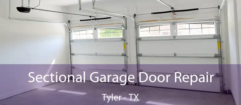  Sectional Garage Door Repair Tyler - TX