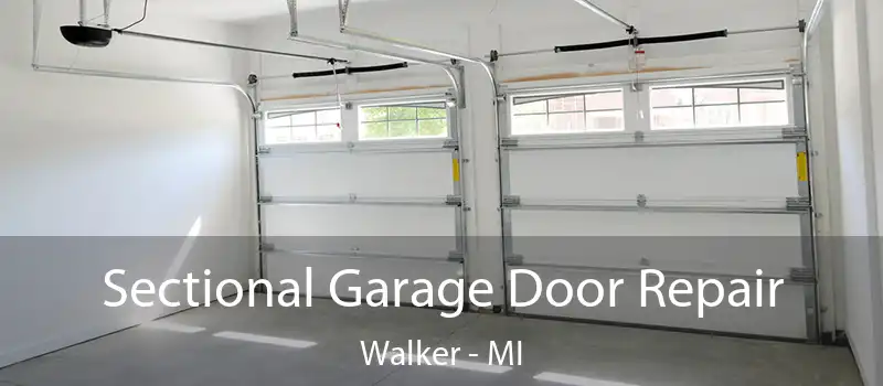  Sectional Garage Door Repair Walker - MI