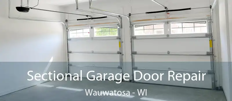  Sectional Garage Door Repair Wauwatosa - WI