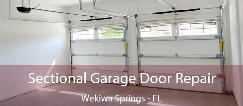Sectional Garage Door Repair Wekiwa Springs - FL
