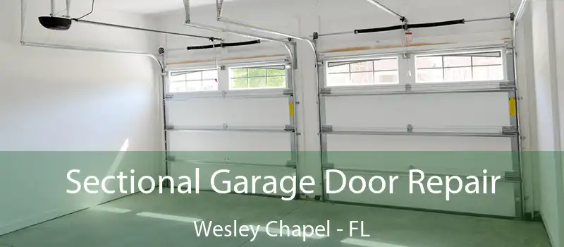 Sectional Garage Door Repair Wesley Chapel - FL