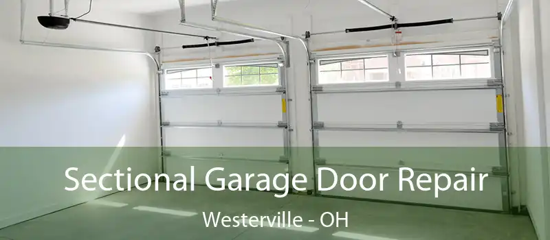  Sectional Garage Door Repair Westerville - OH