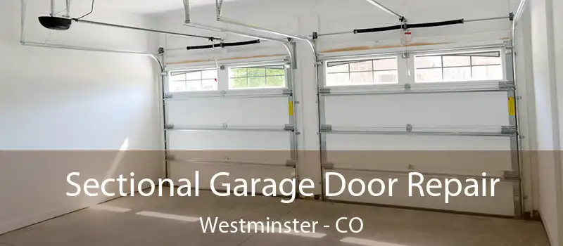  Sectional Garage Door Repair Westminster - CO