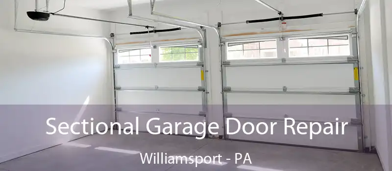  Sectional Garage Door Repair Williamsport - PA