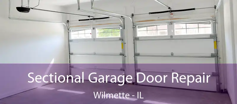 Sectional Garage Door Repair Wilmette - IL