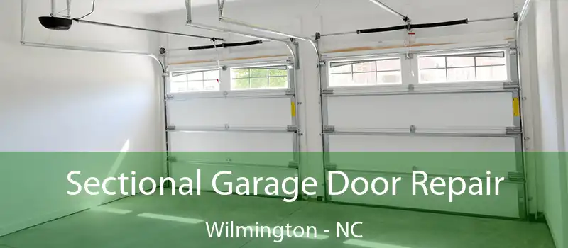  Sectional Garage Door Repair Wilmington - NC