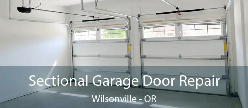  Sectional Garage Door Repair Wilsonville - OR