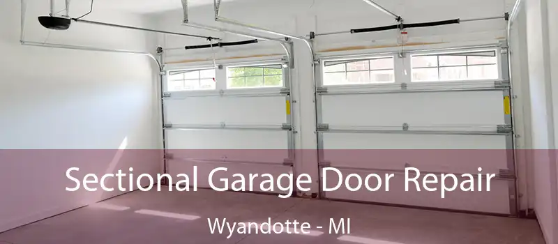  Sectional Garage Door Repair Wyandotte - MI