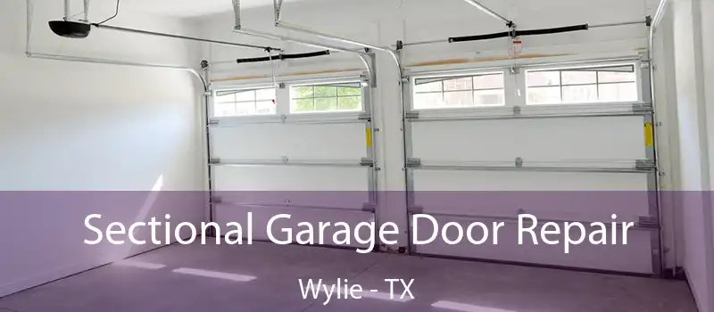  Sectional Garage Door Repair Wylie - TX