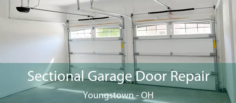  Sectional Garage Door Repair Youngstown - OH